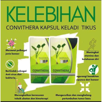 【buy 3 free 1】exp2026.06Herba Keladi Tikus Original By Convithera ( HQ ) Ada health supplements，nutrition