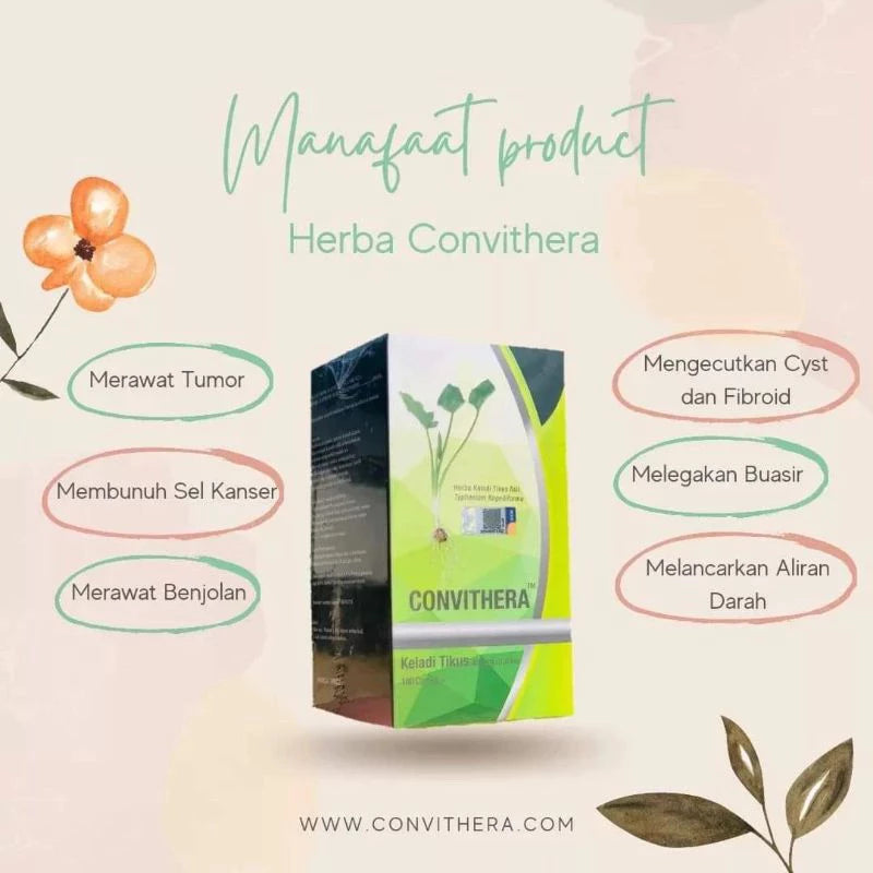 【buy 3 free 1】exp2026.06Herba Keladi Tikus Original By Convithera ( HQ ) Ada health supplements，nutrition