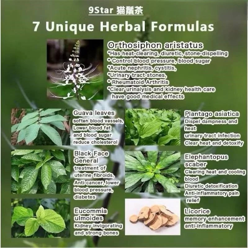 [buy 3 free 1] exp2026.06 9 Star Misai Kucing Tea | Herbal Tea, Wellness Drink, 60 Tea Bags×2gm