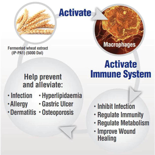 BElixz SHIRUTO Enhance and repair human immune system, and relieve various skin diseases