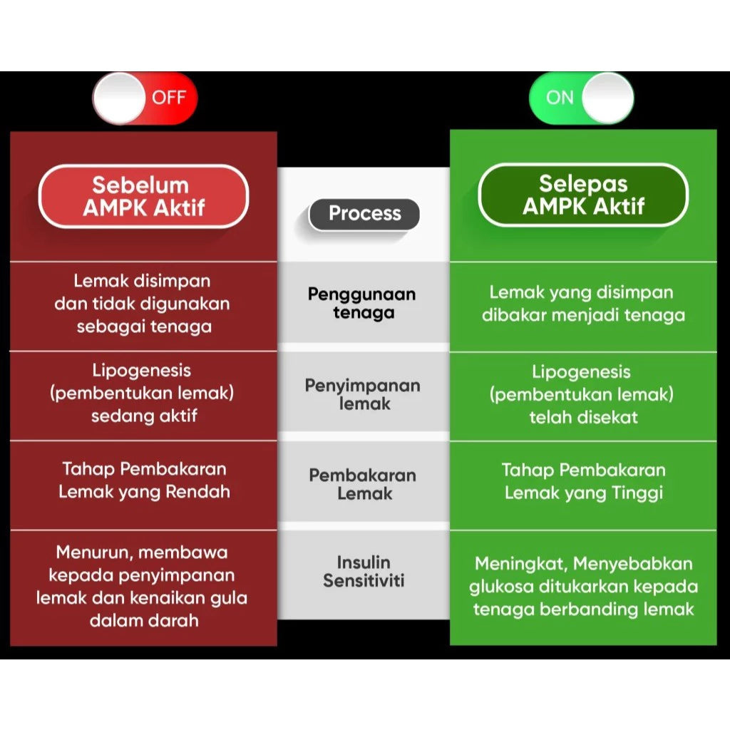 【buy 3 free 1】exp2026.06Metaponin - Membantu Proses Pembakaran Lemak AMPK