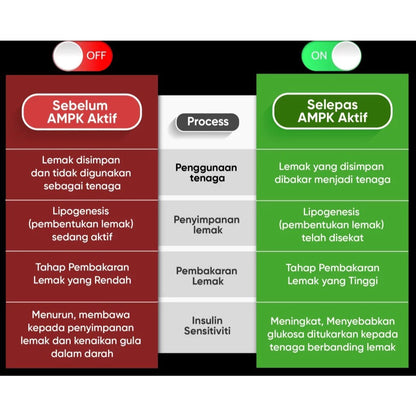【buy 3 free 1】exp2026.06Metaponin - Membantu Proses Pembakaran Lemak AMPK