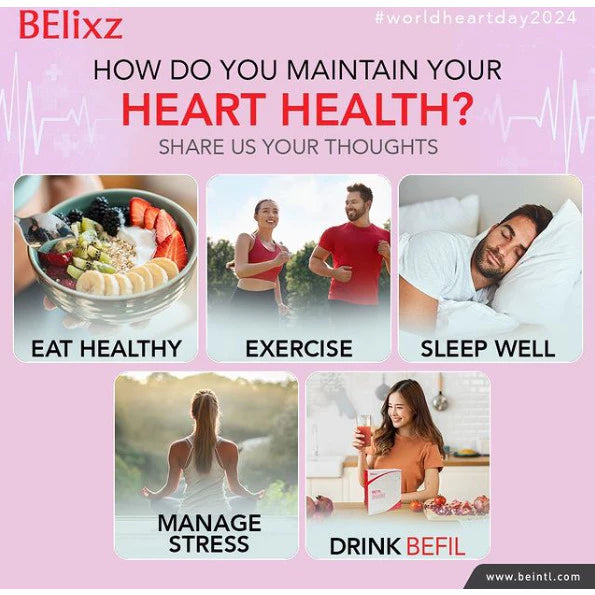【buy 3 free 1】exp2026.06BE BEFILL 100% ORIGINAL Ship in 24 hours Supplements Brain and Heart Blood Vessels Protection Halal