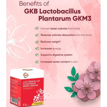 【buy 3 free 1】exp2026.06GKB Lactobacillus Plantarum GKM3 200mg 30'S| Lose Belly Fat GKM3